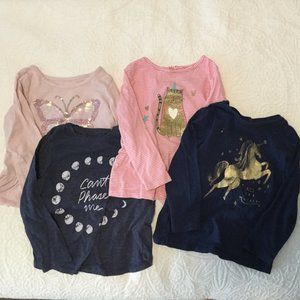 Lot: toddler girls (3T) long sleeve shirts